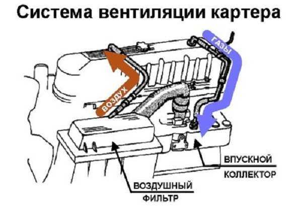 Подробная инструкция по проведению очистки системы вентиляции картера