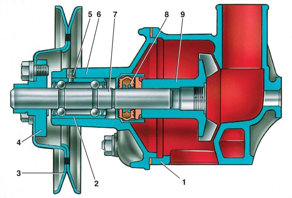 Насос системы охлаждения двигателя (помпы): устройство виды и принцип работы,фото