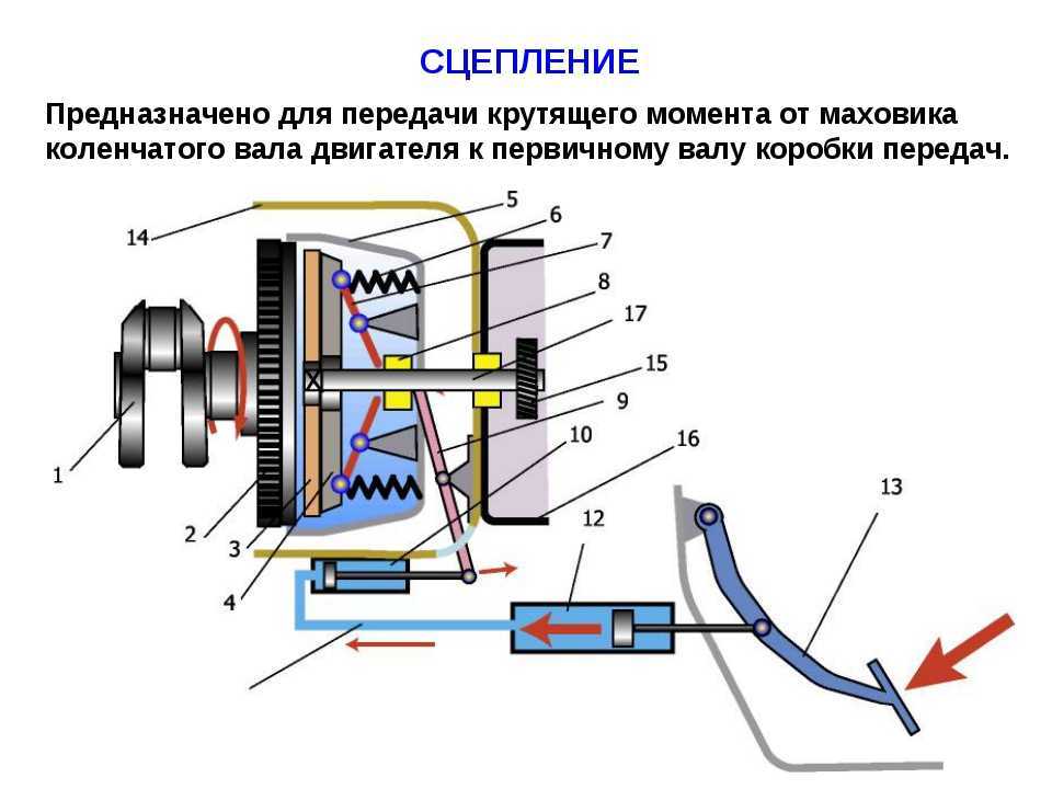 Кинематическая схема сцепления