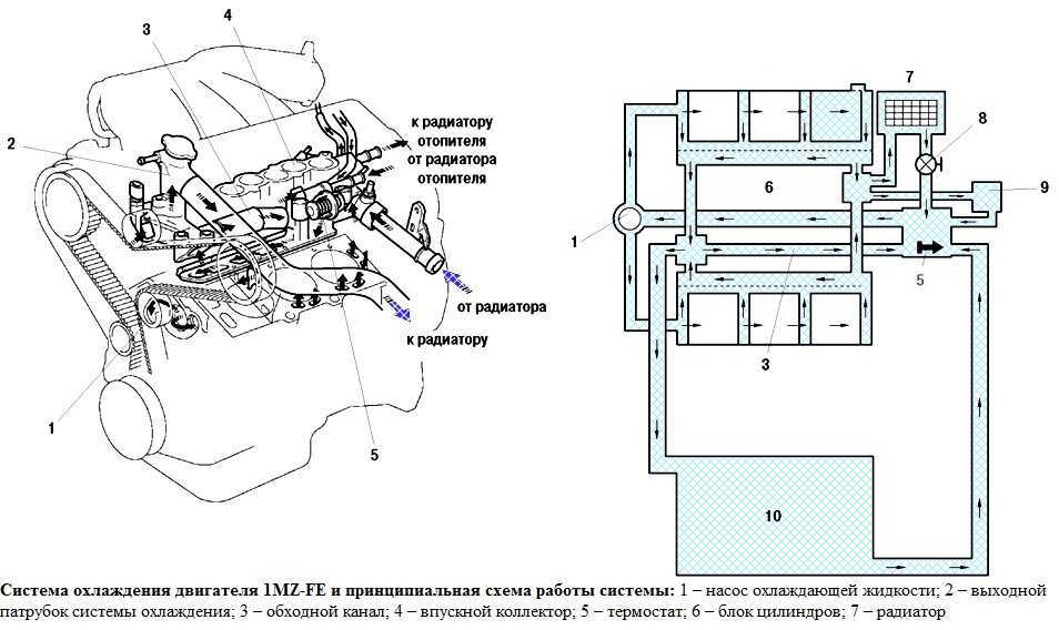 Система охлаждения двигателя 3s fe схема