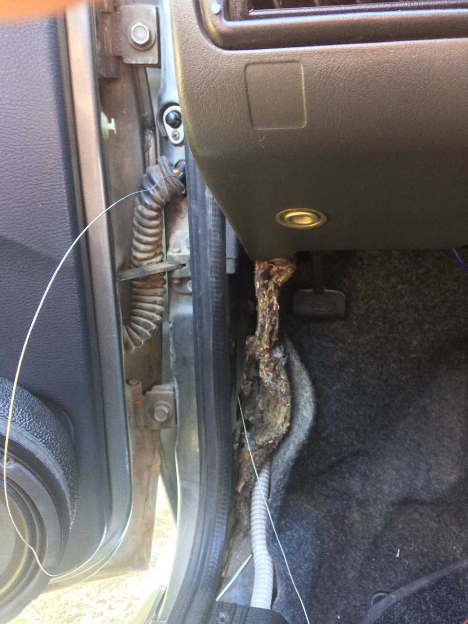 Как правильно провести проводку в дверь автомобиля.
