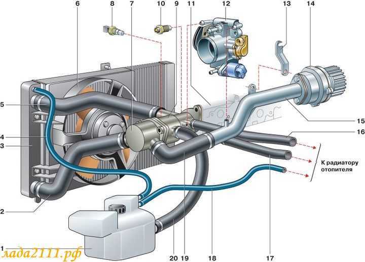 Ваз 2114: схема системы охлаждения (8 клапанов, инжектор)